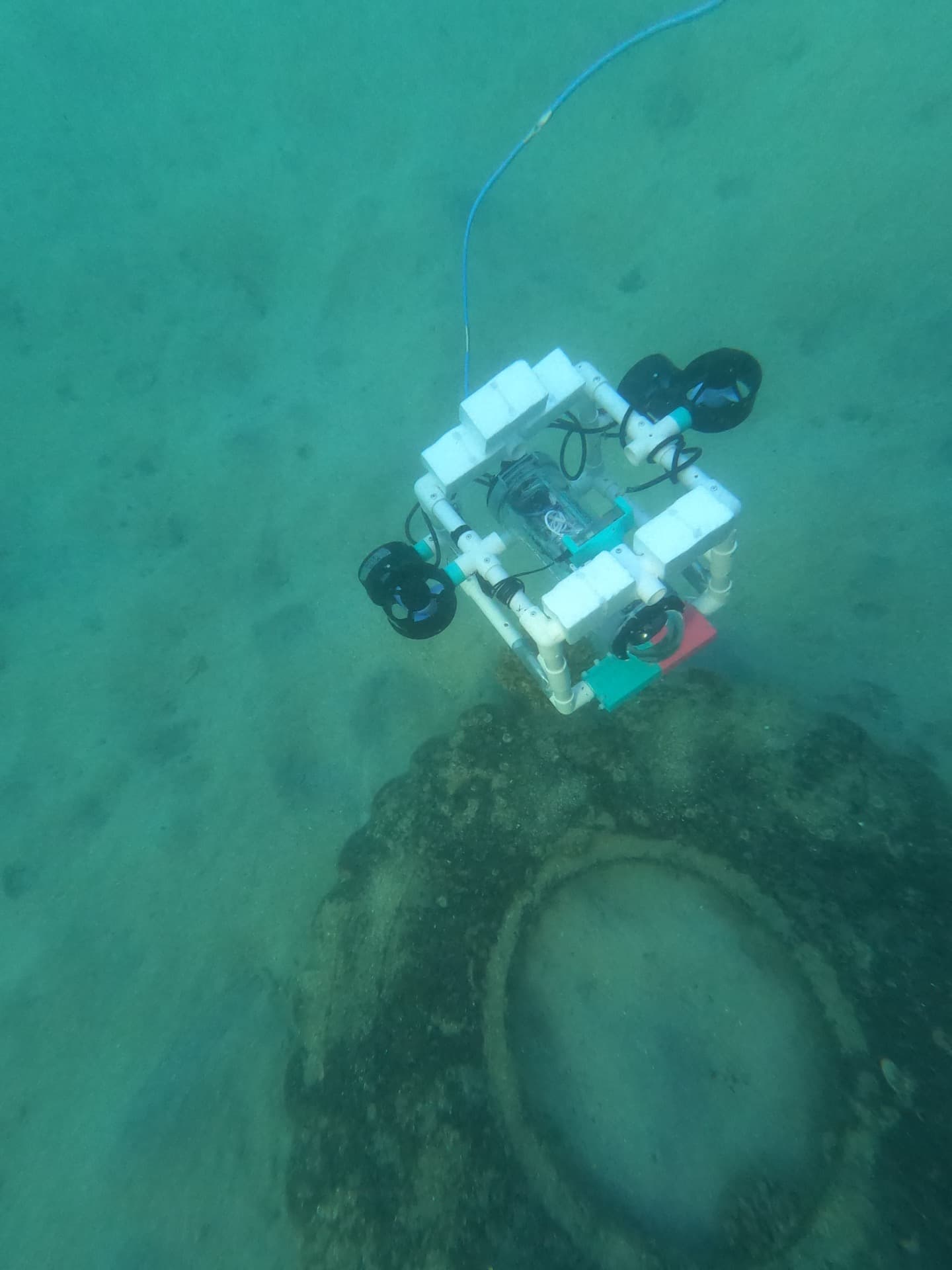 ROV in the field