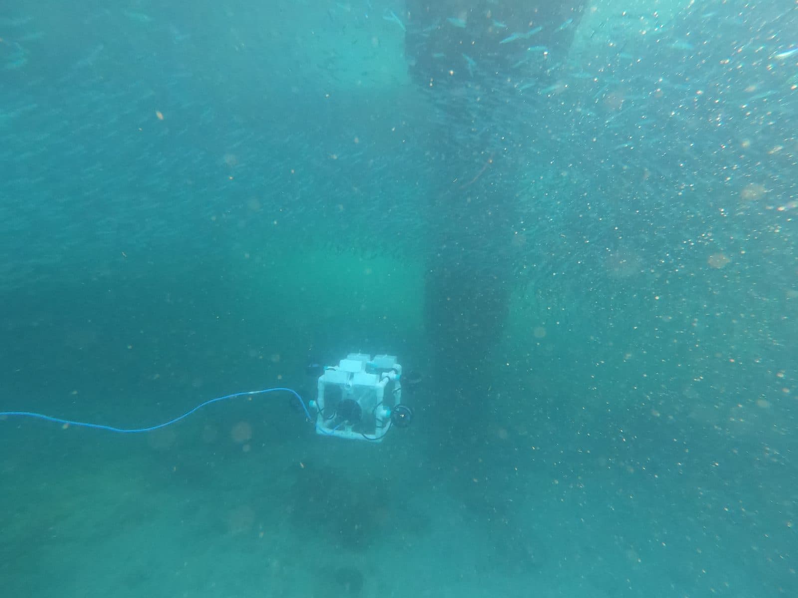 ROV in the field