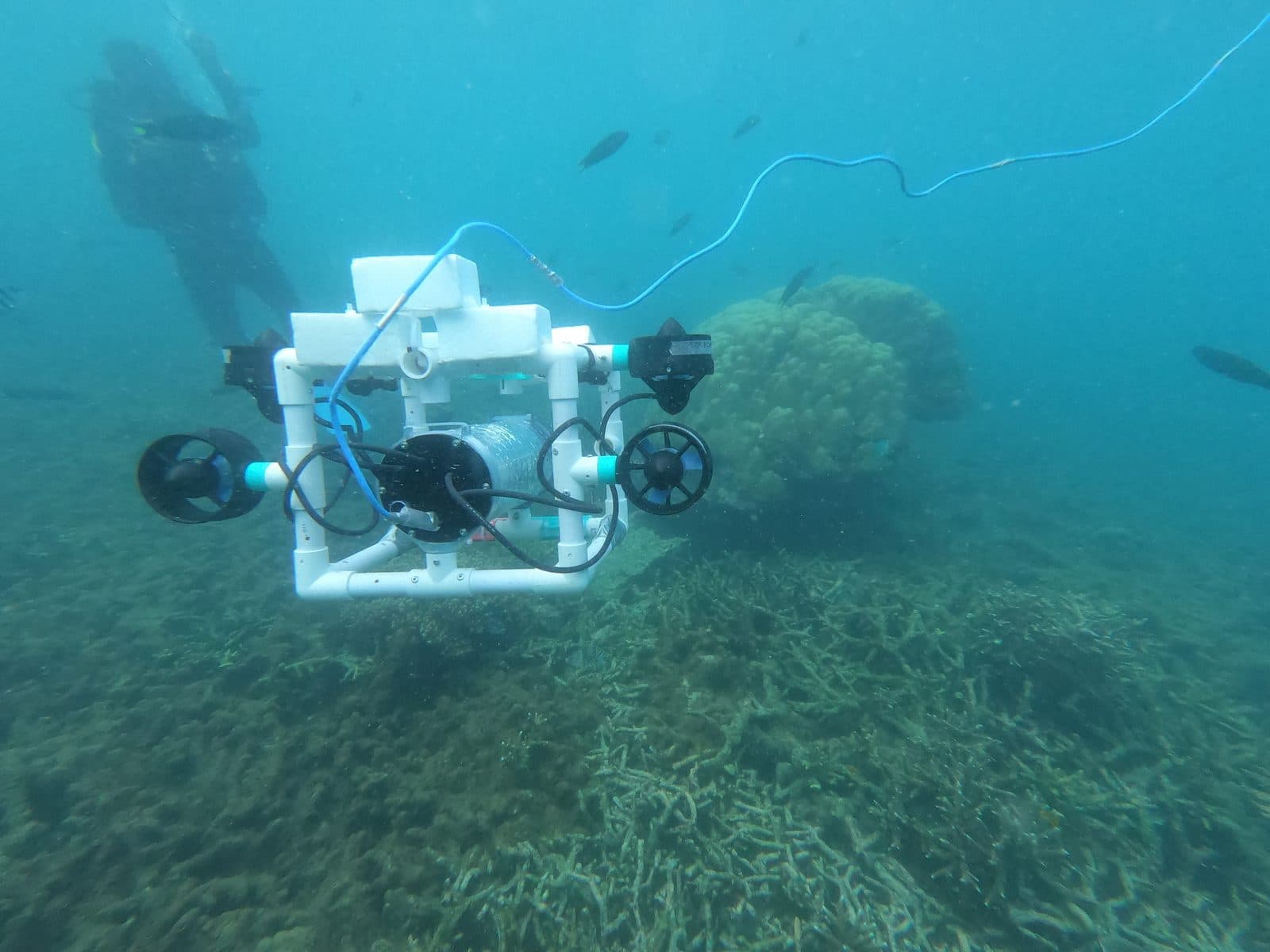 ROV in the field