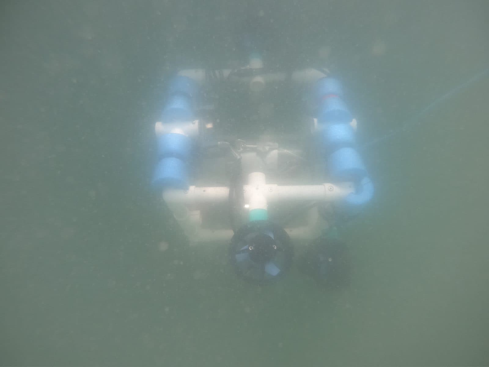 ROV in the field