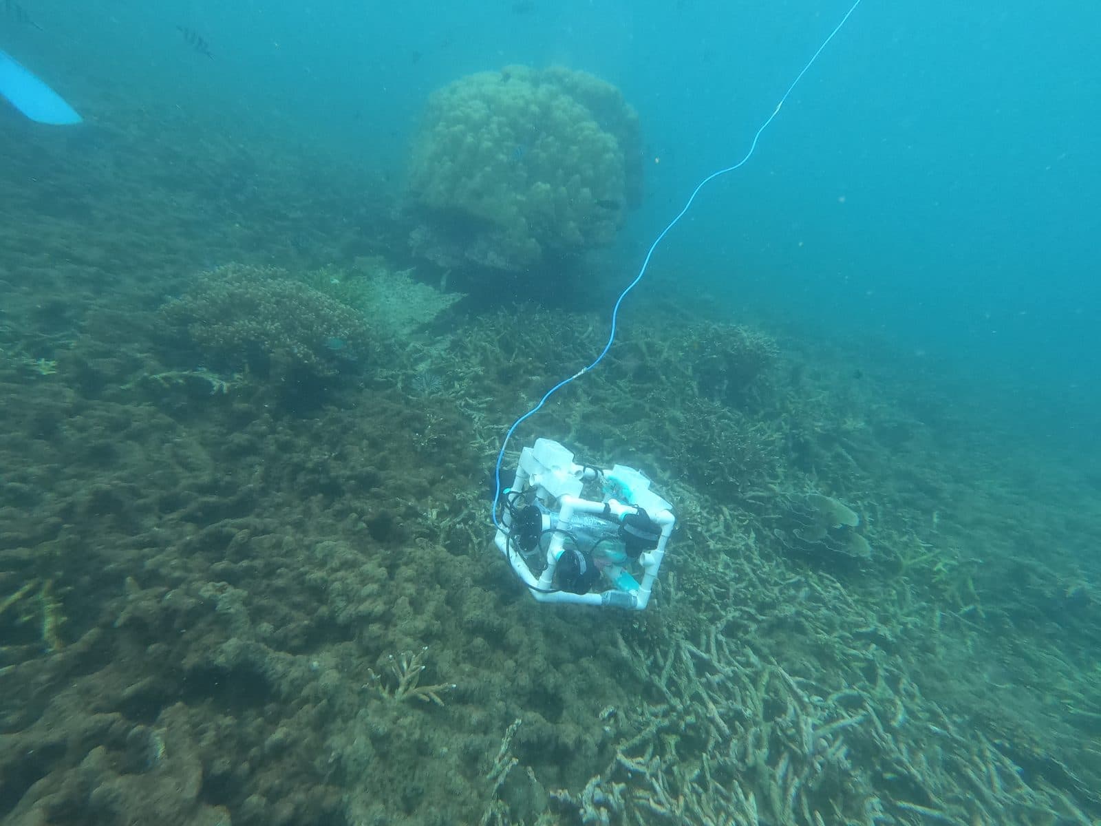 ROV in the field